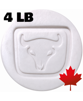 Plainsman Polar Ice Cone 6-10 Translucent White Ceramic Clay Body, 4 lb Plainsman Polar Ice Cone 6-10 Translucent White Ceramic Clay Body, 4 lb